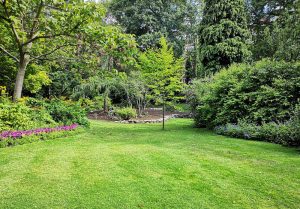 Optimiser l'expérience du jardin à Beaulandais